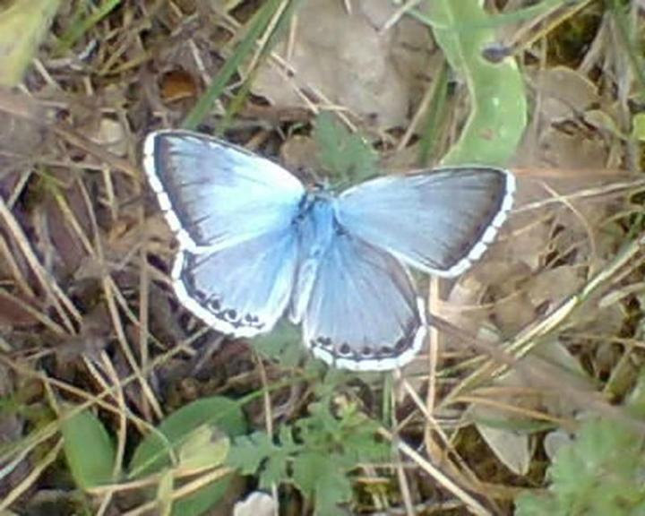 Camping holidays Verdon Castellane