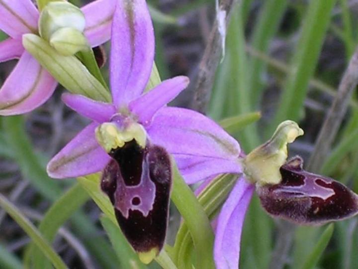 Stage stopover Castellane